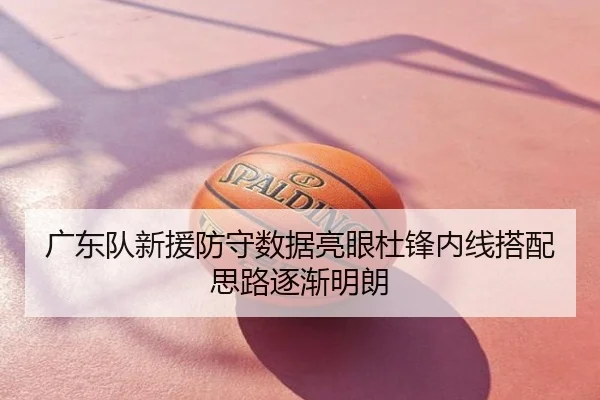 广东队新援防守数据亮眼杜锋内线搭配思路逐渐明朗