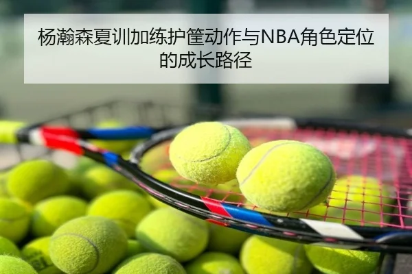 杨瀚森夏训加练护筐动作与NBA角色定位的成长路径