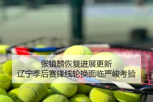 张镇麟恢复进展更新 辽宁季后赛锋线轮换面临严峻考验